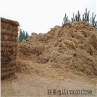 常年大量供應(yīng)各種干秸稈飼料 鮮秸稈飼料青儲飼料 黃儲飼料 微